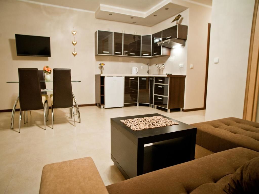 Апартаменты Apartamenty Toporowa Cyrhla Закопане-53